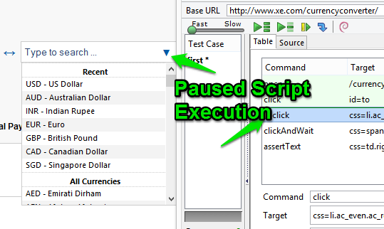 Selenium paused execution