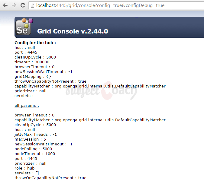 Selenium Grid Console View Config