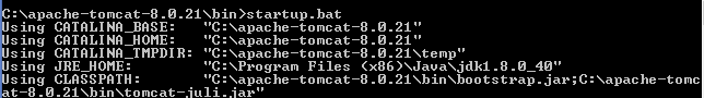 Start tomcat server