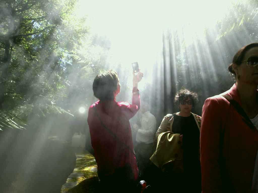 SubjectCoach | Australian National Botanic Gardens