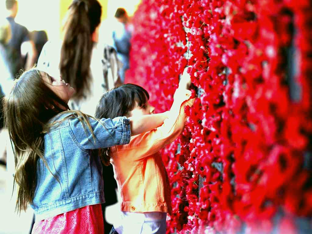 SubjectCoach | Australian War Memorial