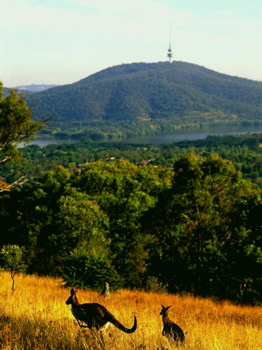 SubjectCoach | Canberra Centenary Trail