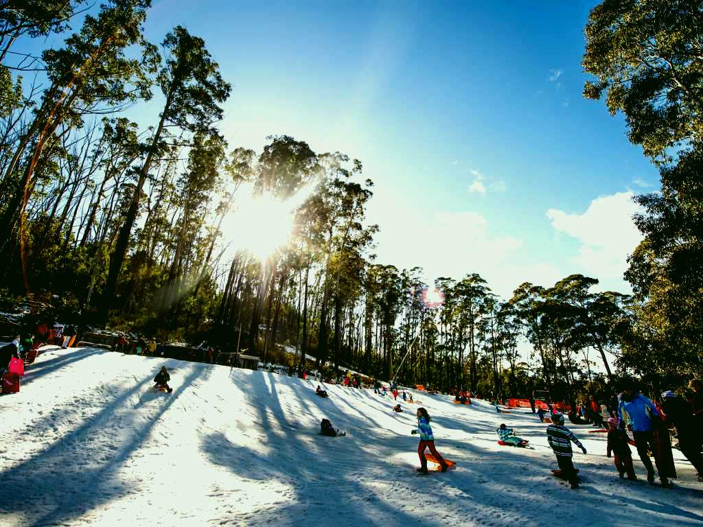 SubjectCoach | Corin Forest Mountain Resort