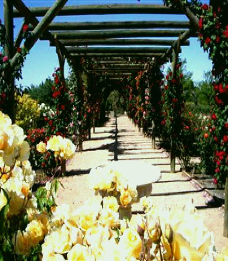 SubjectCoach | Australian Inland Botanic Gardens