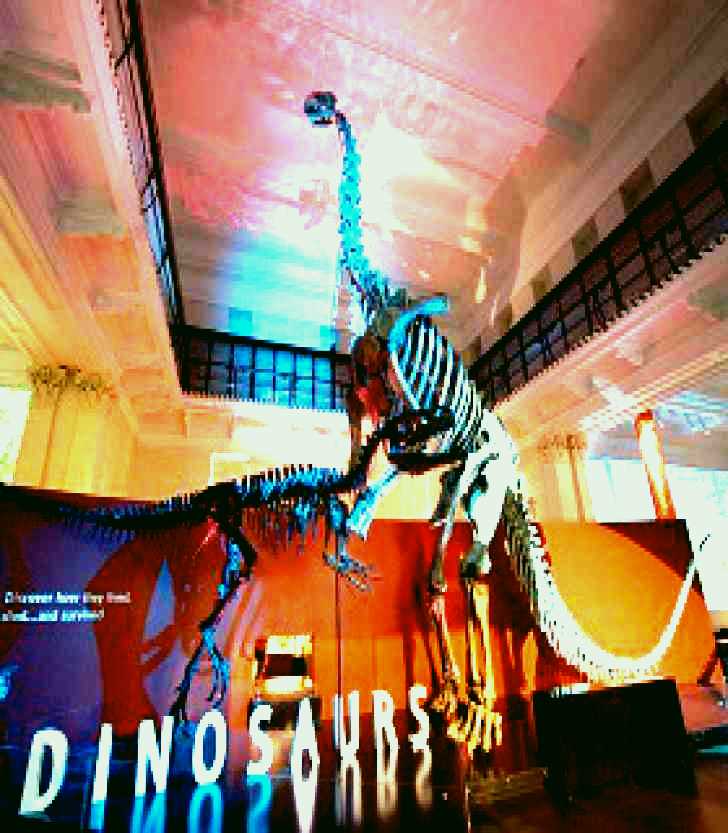 SubjectCoach | Australian Museum