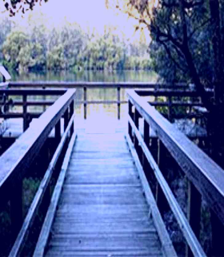 SubjectCoach | Crosslands Reserve