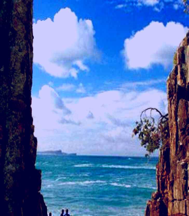SubjectCoach | Crowdy Bay National Park