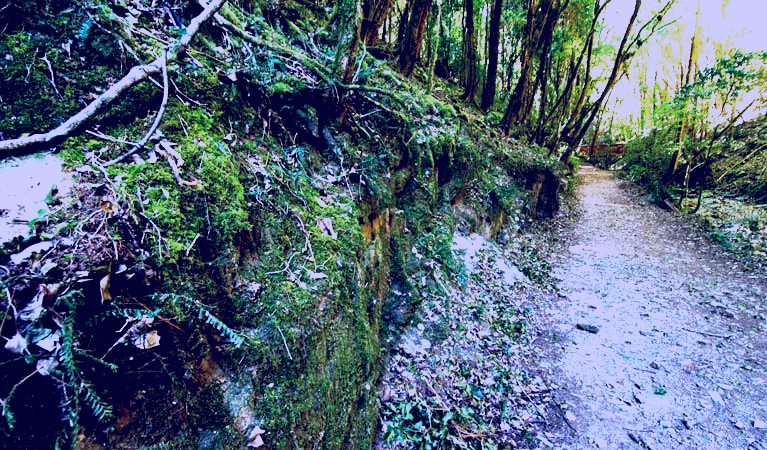 SubjectCoach | Hidden Treasure track