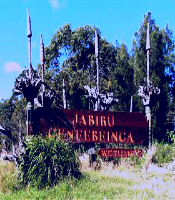 SubjectCoach | Jabiru Geenbeebeinga Wetlands