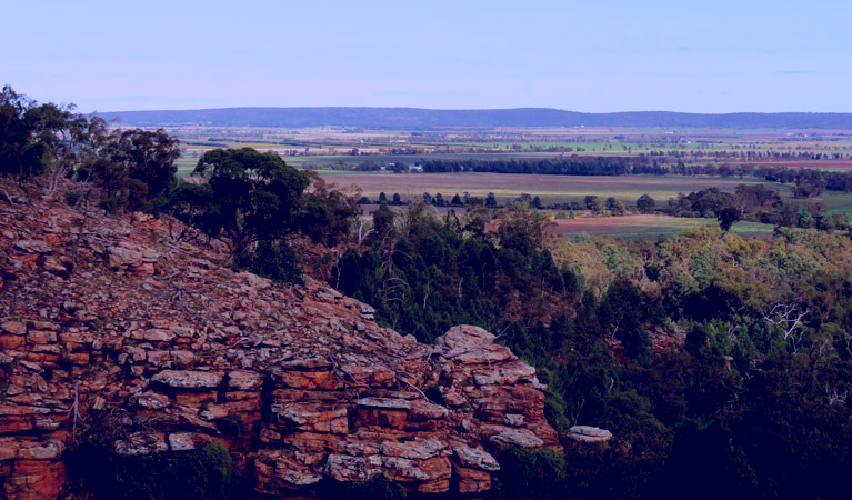 SubjectCoach | Jacks Creek walking track