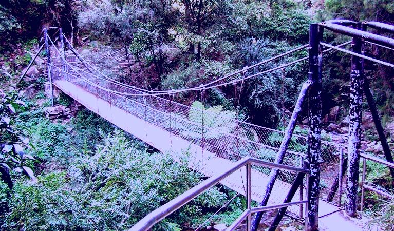 SubjectCoach | Jenolan River walking track
