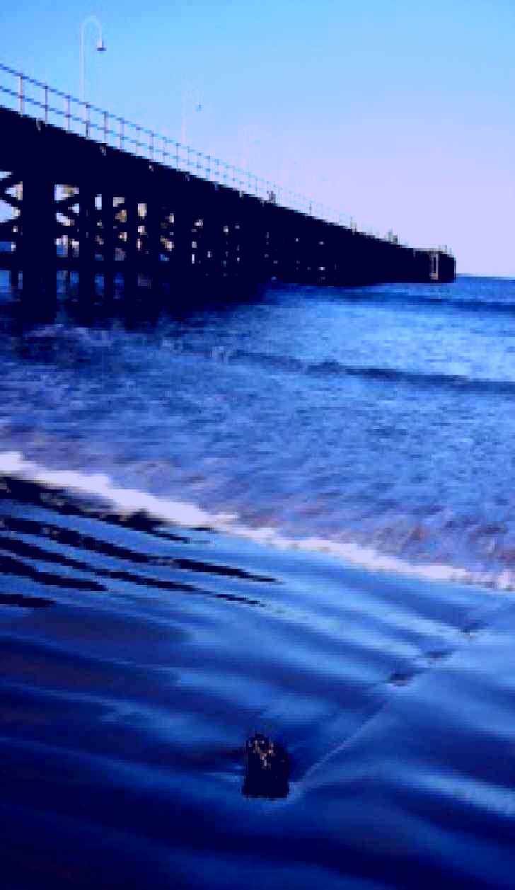 SubjectCoach | Jetty Beach