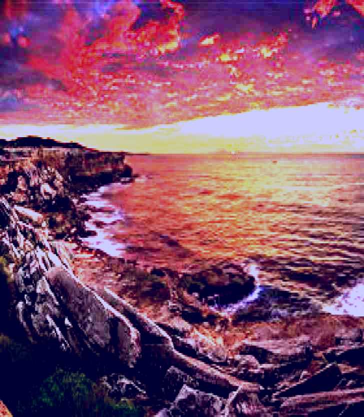SubjectCoach | Kamay Botany Bay National Park Kurnell
