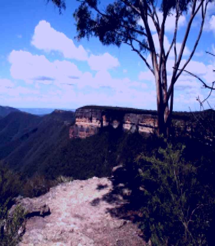 SubjectCoach | Kanangra-Boyd National Park