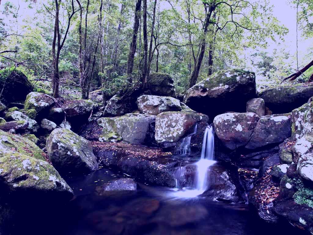 SubjectCoach | Kangaroo River