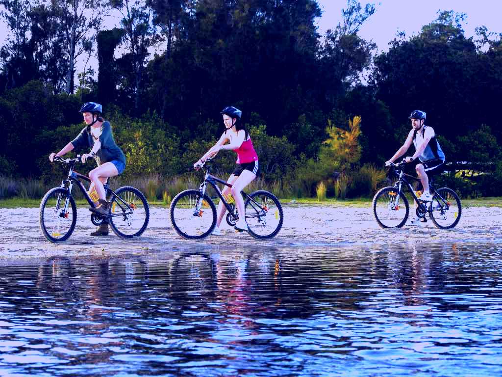 SubjectCoach | Lake Mac Kayak and Bike Hire