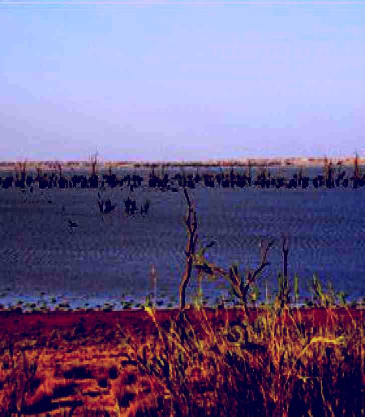 SubjectCoach | Lake Victoria