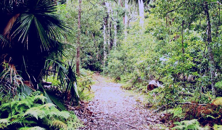 SubjectCoach | Lake walking track