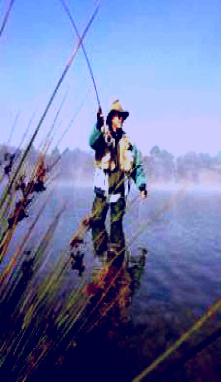 SubjectCoach | Lake Wallace