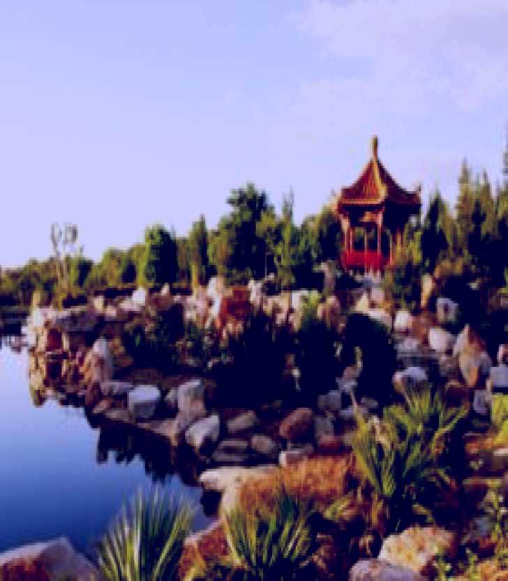 SubjectCoach | Lambing Flat Chinese Tribute Garden