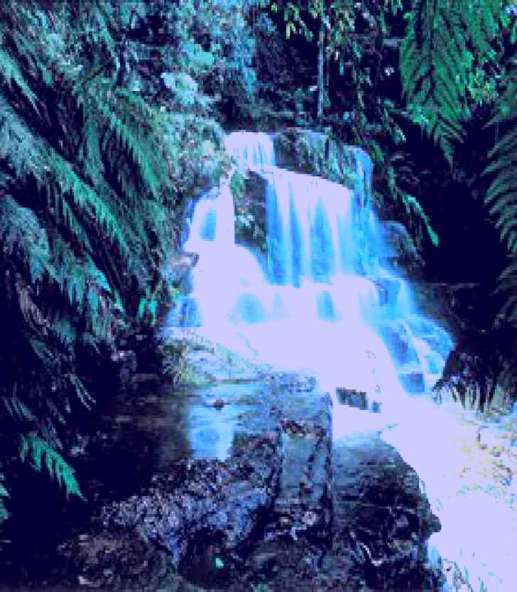 SubjectCoach | Leura Cascades