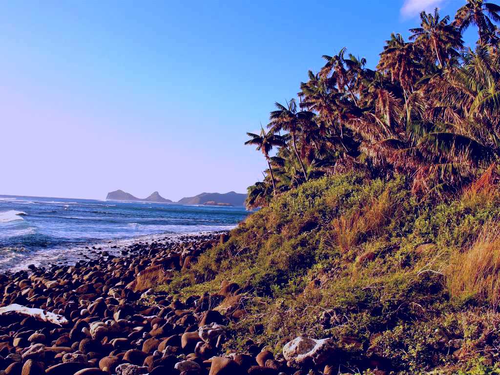 SubjectCoach | Little Island