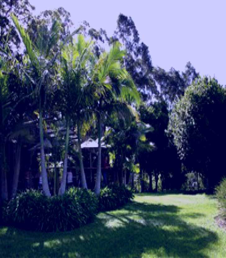 SubjectCoach | Lorne Valley Macadamia Farm