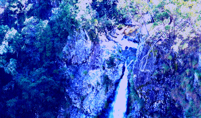 SubjectCoach | Lyrebird Falls walking track