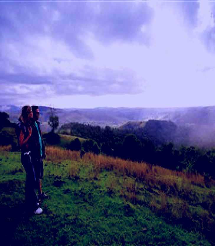 SubjectCoach | Mallanganee Lookout