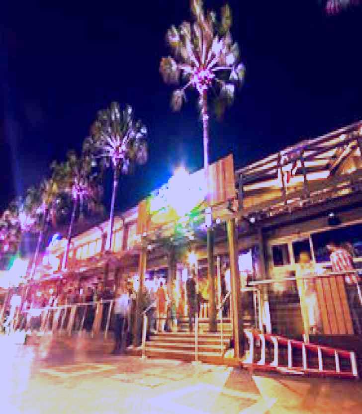SubjectCoach | Margaritaville Darling Harbour