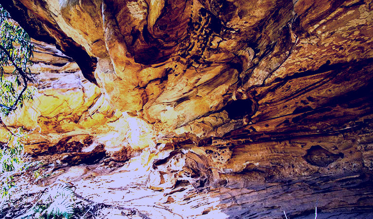 SubjectCoach | Marramarra National Park