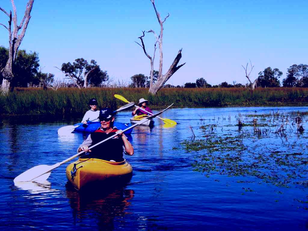 SubjectCoach | Marsh Meanders