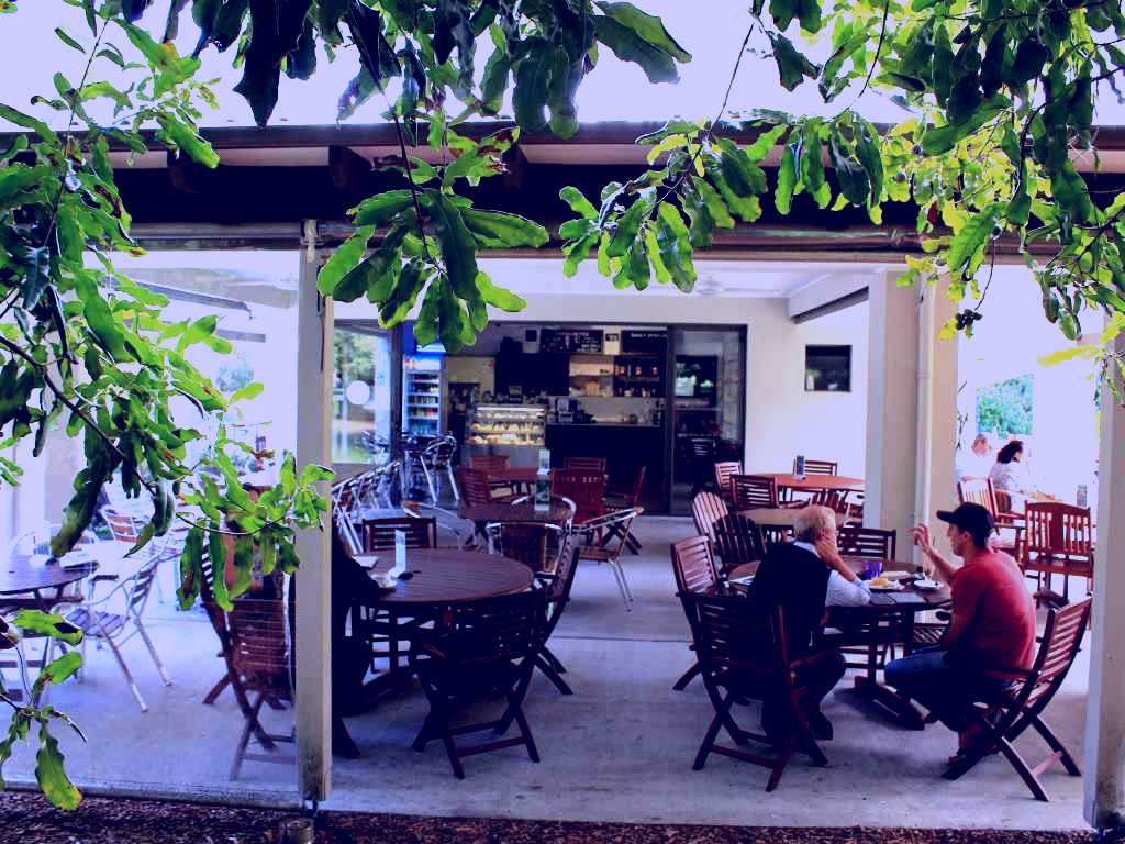 SubjectCoach | Medowie Macadamias