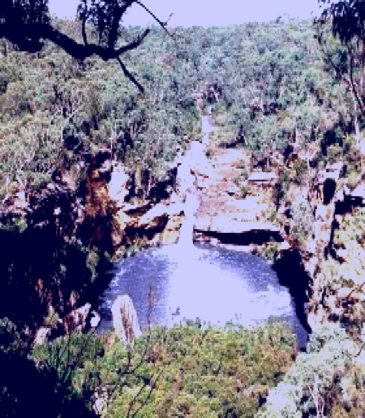 SubjectCoach | Mermaids Pools