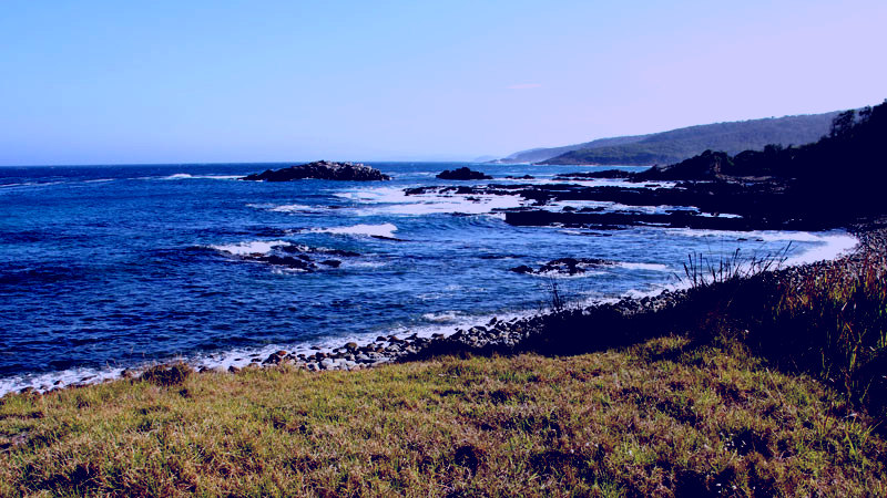 SubjectCoach | Mimosa Rocks National Park