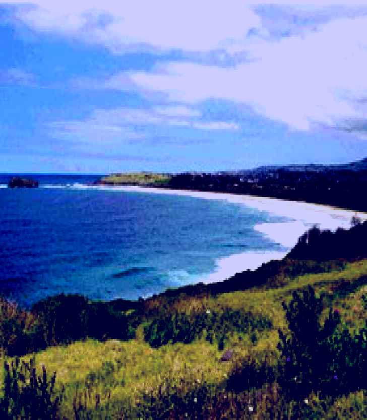 SubjectCoach | Minnamurra Beach Image 1