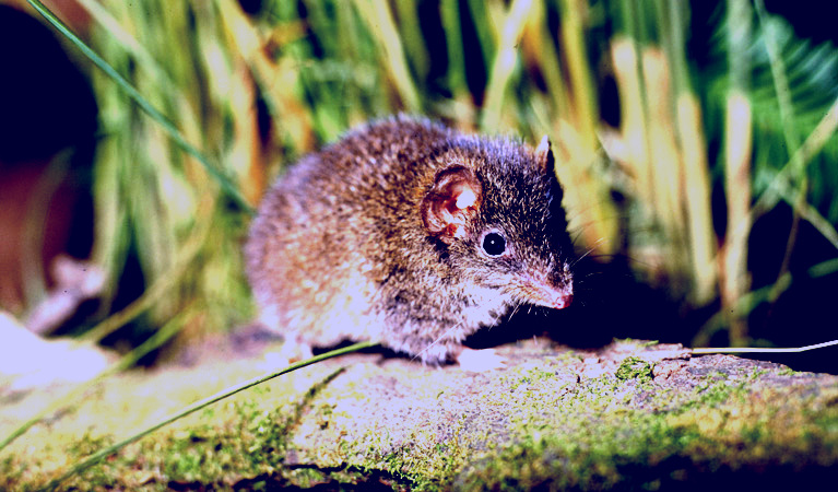 SubjectCoach | Munmorah State Conservation Area