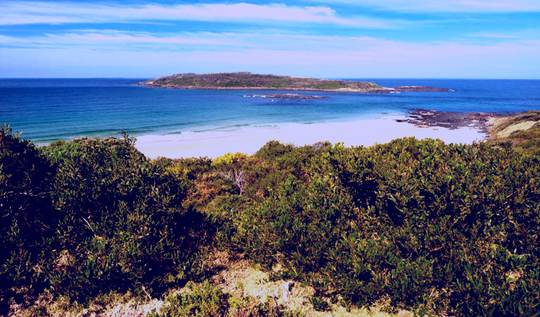 SubjectCoach | Murramarang Aboriginal Area