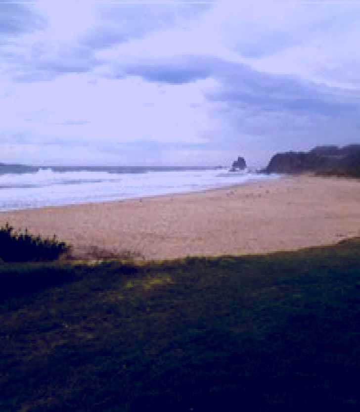 SubjectCoach | Narooma Surf Beach