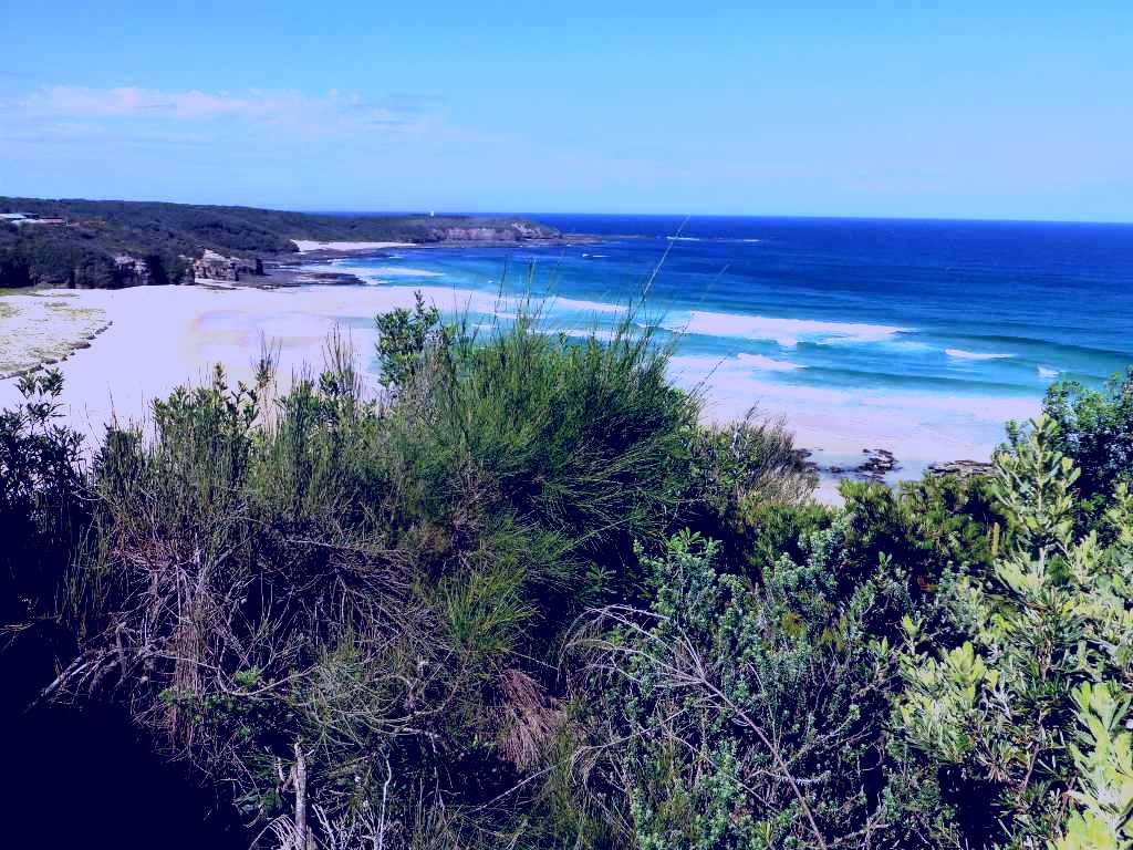 SubjectCoach | South Pacific Heathland Reserve Image 1