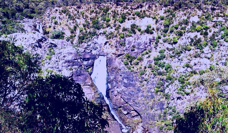 SubjectCoach | Tia Falls walk