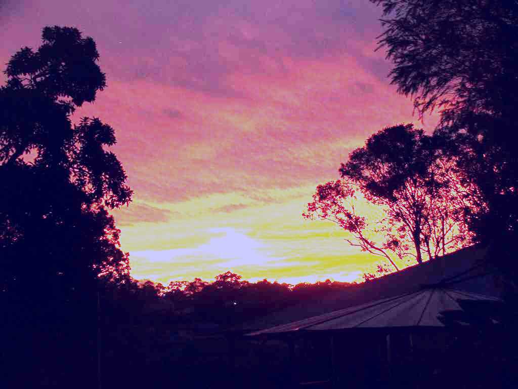 SubjectCoach | Tinonee Museum
