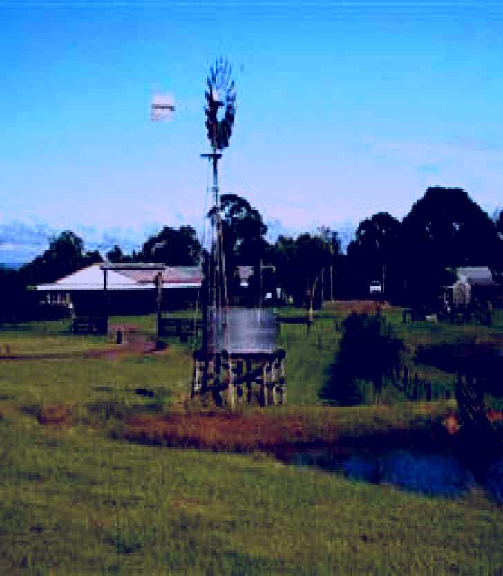 SubjectCoach | Tobruk Sheep Station