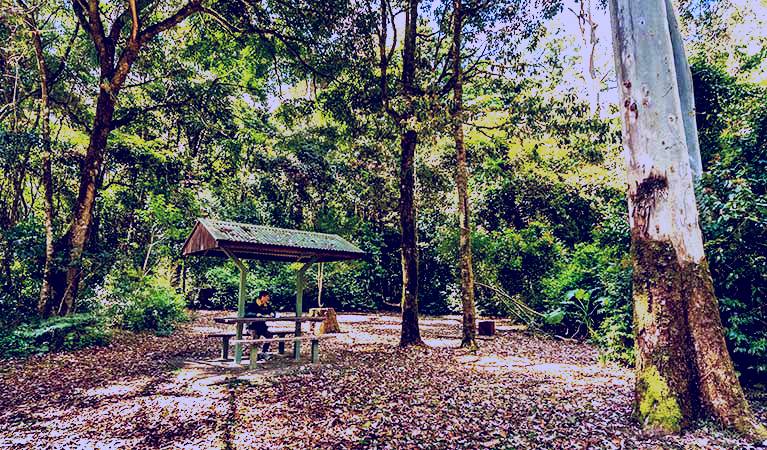 SubjectCoach | Tooloom National Park