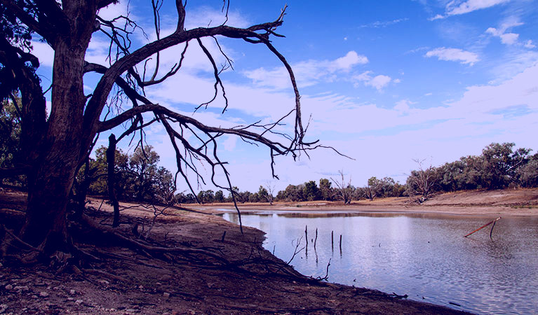 SubjectCoach | Toorale National Park