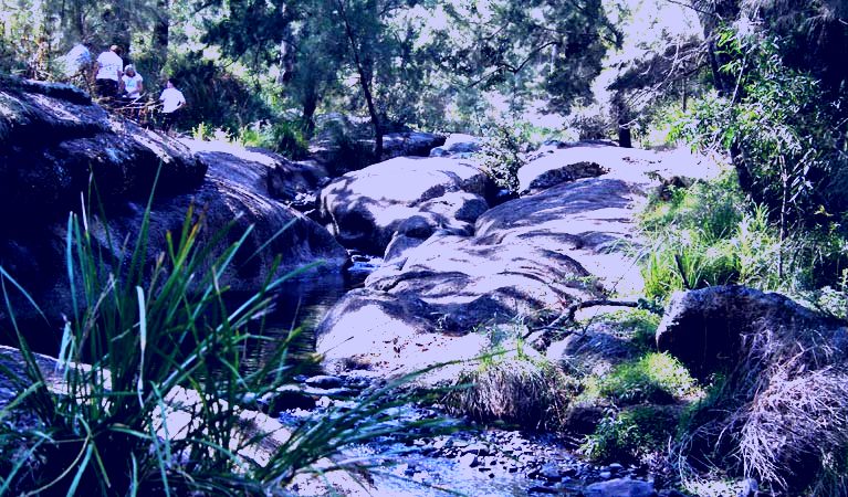 SubjectCoach | Towarri National Park