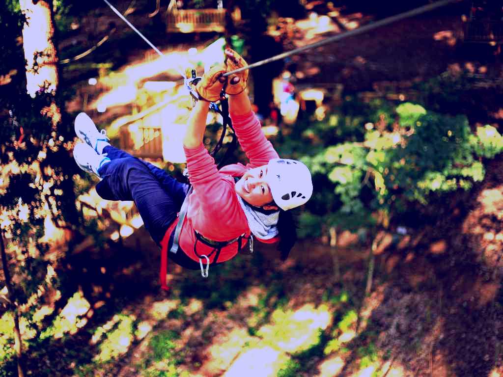SubjectCoach | Trees Adventure  Grose River Park