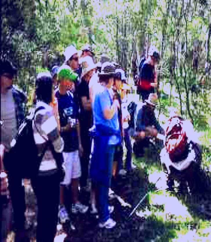 SubjectCoach | Warrumbungle National Park Discovery Program
