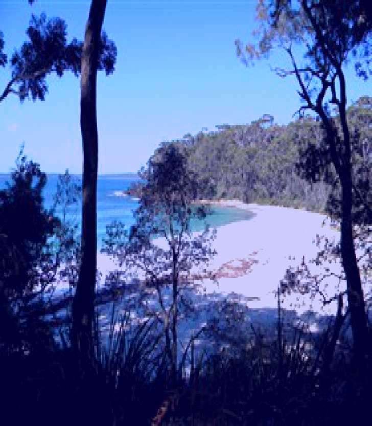 SubjectCoach | White Sands Walk