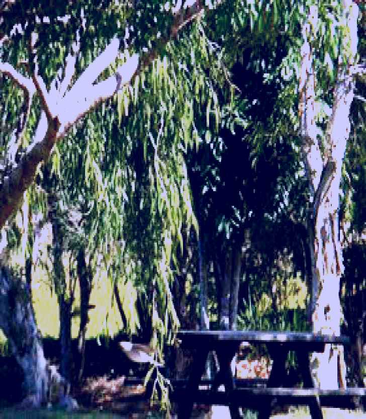 SubjectCoach | Windara Communities